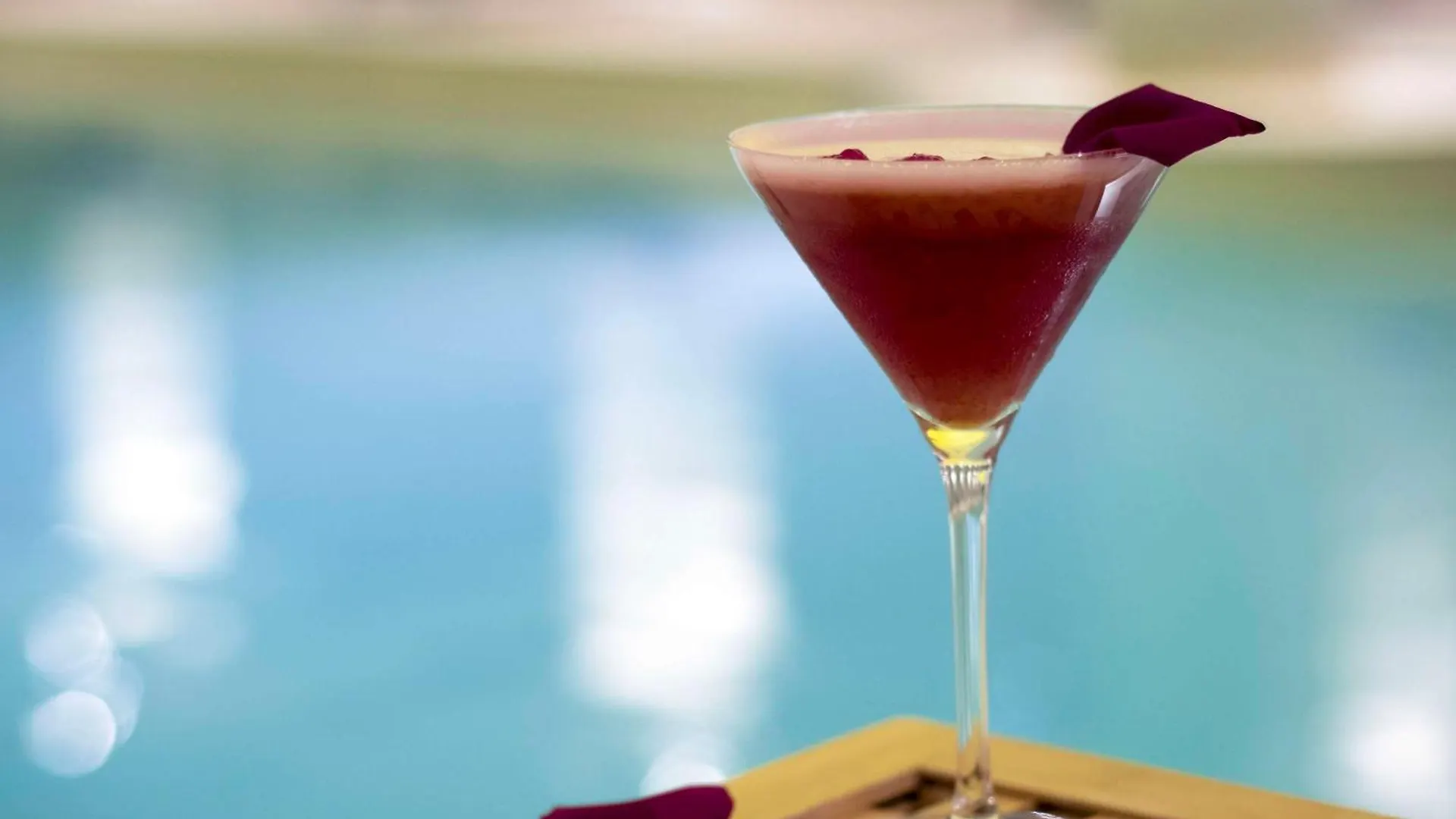 Hotel Pullman Paris Roissy Cdg Airport