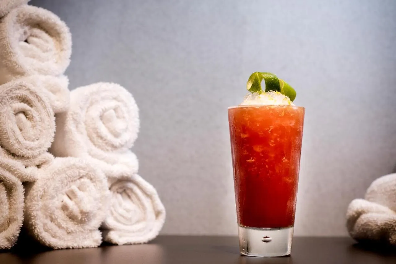 Pullman Paris Roissy Cdg Airport Hotel France